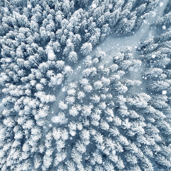 Meet your Posher, Cindi - Picture 1 of 1